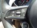 Alfa Romeo Stelvio Business 2,2 ATX AWD - XENON - NAVI - AHK ABNEH... Grün - thumbnail 25