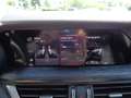 Alfa Romeo Stelvio Business 2,2 ATX AWD - XENON - NAVI - AHK ABNEH... Grün - thumbnail 26