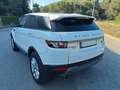 Land Rover Range Rover Evoque RangeRover Evoque 2.2L eD4 Pure Tech 4x2 Pure Tech Blanco - thumbnail 3