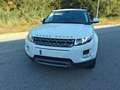 Land Rover Range Rover Evoque RangeRover Evoque 2.2L eD4 Pure Tech 4x2 Pure Tech Blanco - thumbnail 2