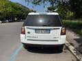 Land Rover Freelander Freelander II 2011 2.2 td4 S 4wd 150cv Manuale Bianco - thumbnail 2