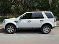 Land Rover Freelander Freelander II 2011 2.2 td4 S 4wd 150cv Manuale Bianco - thumbnail 4