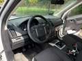Land Rover Freelander Freelander II 2011 2.2 td4 S 4wd 150cv Manuale Bianco - thumbnail 8