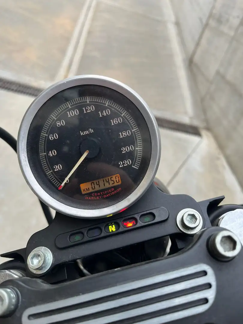 Harley-Davidson Sportster 883 Vert - 2