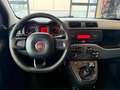 Fiat Panda 1.2 Lounge 69cv GPL Grigio - thumbnail 12