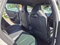 CUPRA Leon SP 1.4 eTSI DSG LED Virtual Cockpit Alu Bianco - thumbnail 7