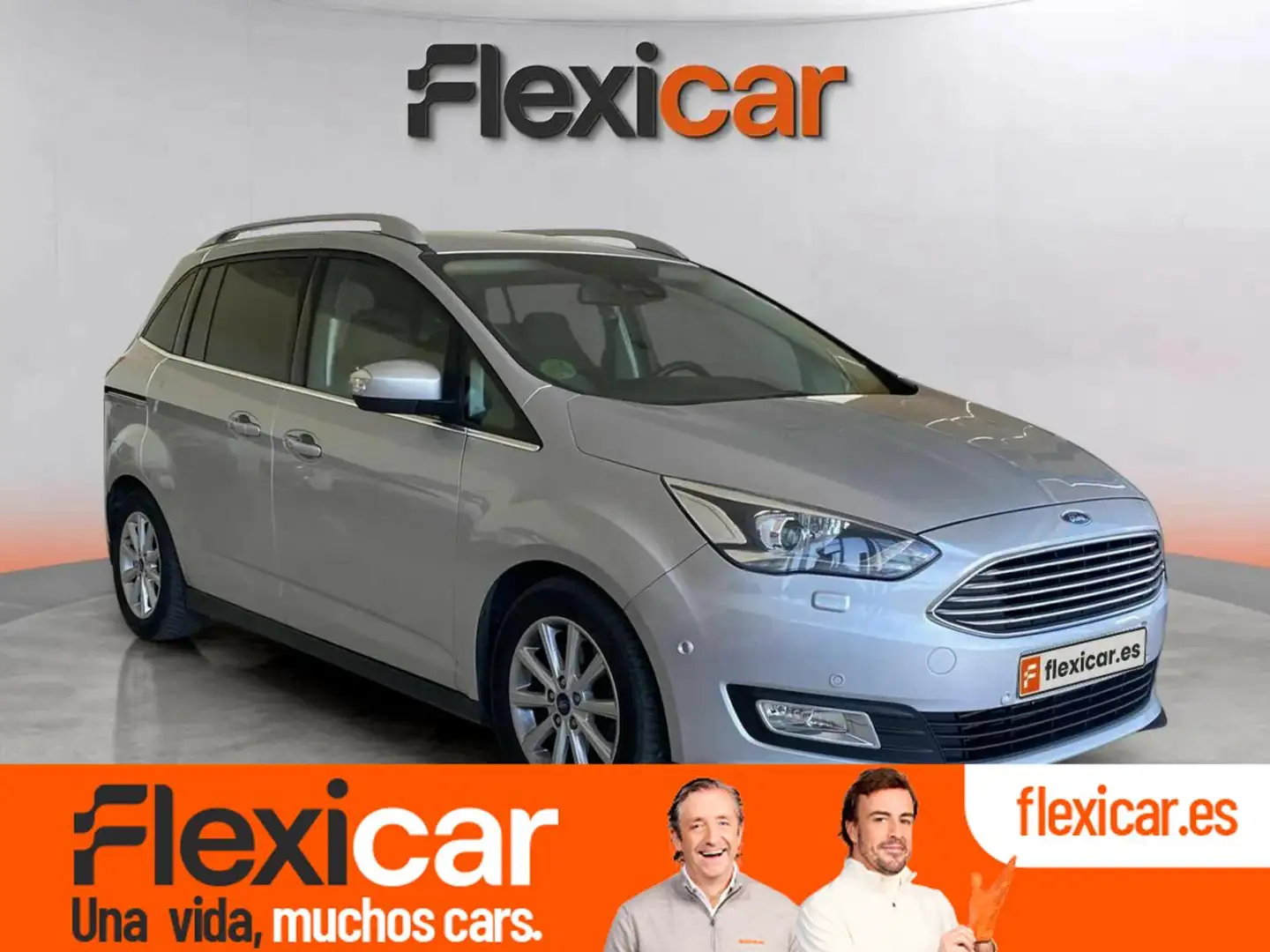 Ford Grand C-Max 2.0TDCi Auto-S&S Titanium PS Gris - 1