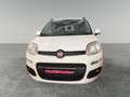 Fiat Panda 1.2 Trussardi 4x2 Blanc - thumbnail 2