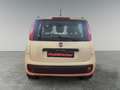 Fiat Panda 1.2 Trussardi 4x2 Blanc - thumbnail 6
