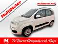 Fiat Panda 1.2 Trussardi 4x2 Blanc - thumbnail 1