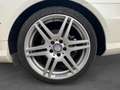 Mercedes-Benz E 350 COUPE 350 CDI BlueEfficiency Executive A Bílá - thumbnail 28