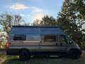 Citroen Sonstige Pössl Roadcruiser Revolution XXL Camper Wohnmobil Grau - thumbnail 5