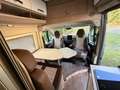 Citroen Sonstige Pössl Roadcruiser Revolution XXL Camper Wohnmobil Grau - thumbnail 12
