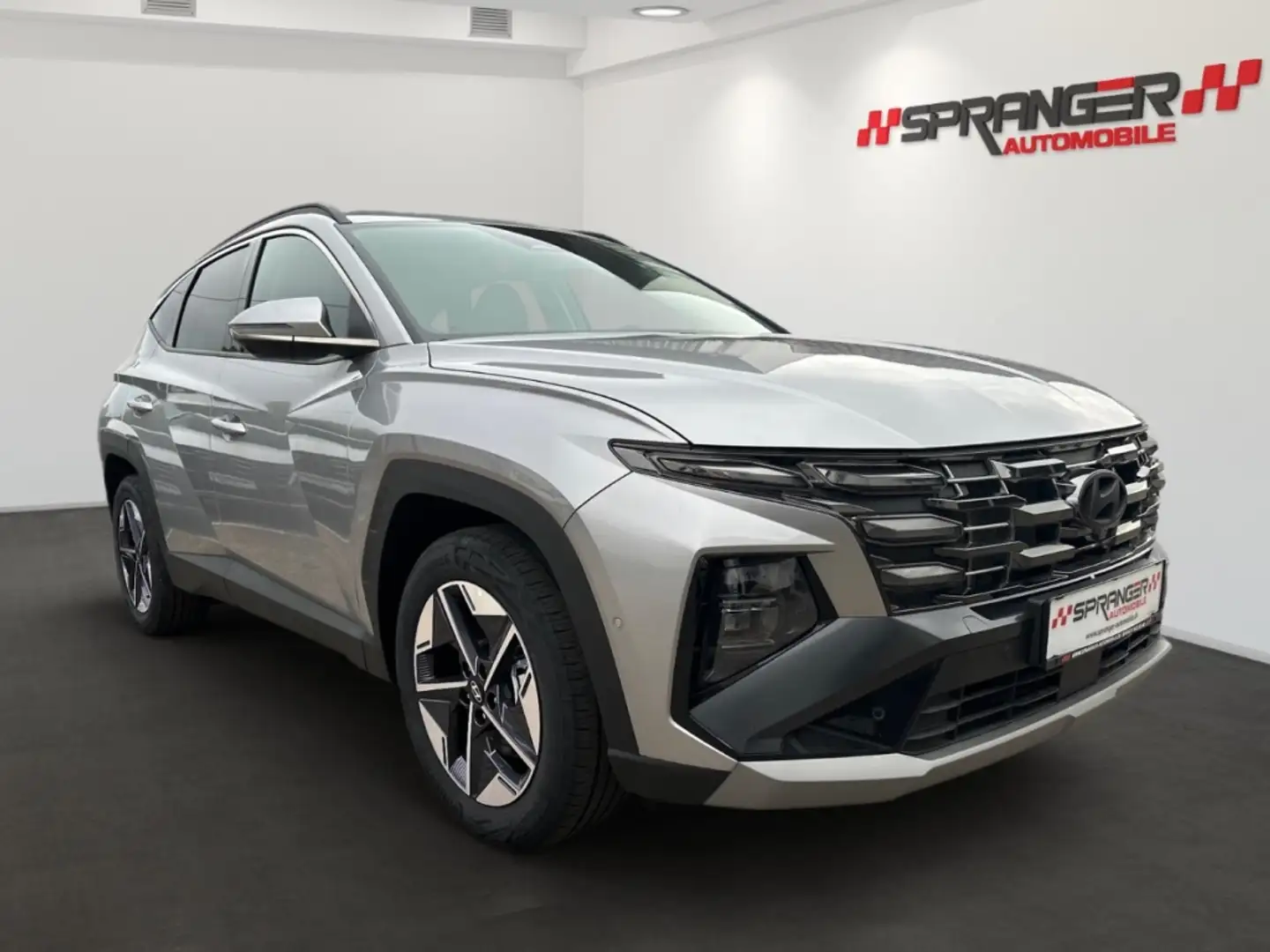 Hyundai TUCSON Prime Mild-Hybrid*Leder*Nav*360.Cam*Krell* Argent - 2