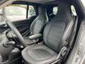 smart forTwo CABRIO*BRABUS*TAILOR-MADE ASPHALTGOLD* Gris - thumbnail 26
