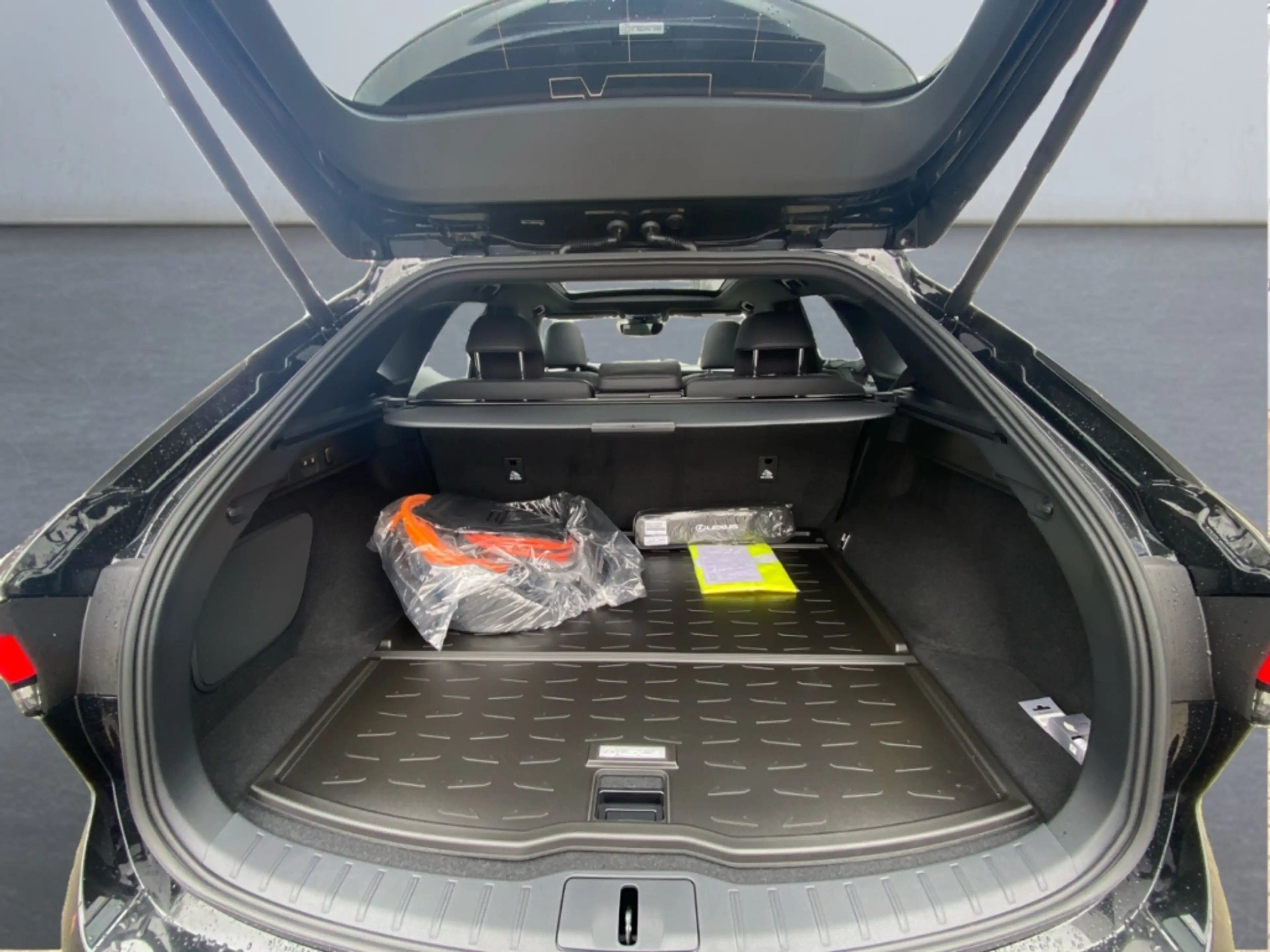 Lexus RX 450h + 2,5 l E-CVT, 4x4 Plug-in 5-Türer F SPORT D — photo 11