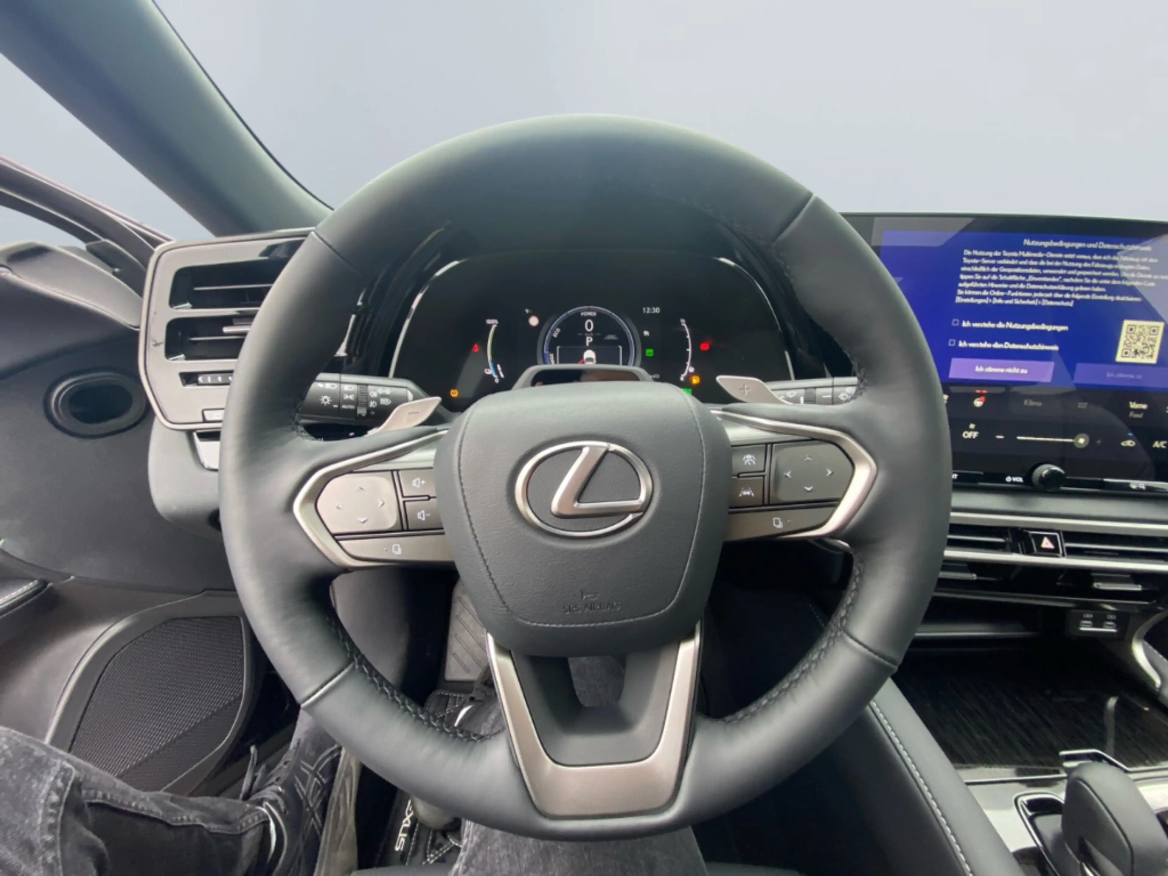 Lexus RX 450h + 2,5 l E-CVT, 4x4 Plug-in 5-Türer F SPORT D — photo 10