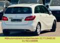 Mercedes-Benz B 200 CDI / d LED Biały - thumbnail 7