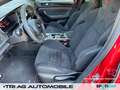 Renault Megane R.S. Trophy TCe 300 EDC GRA PDC SHZ Navi Rot - thumbnail 9