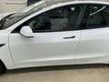 Tesla Model 3 Model 3 Long Range RWD Weiß - thumbnail 4
