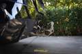BMW X3 xDrive 30e M-Sport Pro/ACC/HK/Iconic/Trekhaak/HUD/ Gris - thumbnail 46