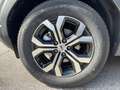 Dacia Duster Duster 1.2 mild hybrid Expression 4x4 130cv Grigio - thumbnail 7