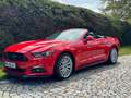 Ford Mustang Mustang Cabrio 5.0 Ti-VCT V8 Aut. GT Red - thumbnail 1