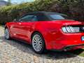 Ford Mustang Mustang Cabrio 5.0 Ti-VCT V8 Aut. GT Rot - thumbnail 4