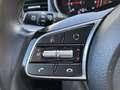 Kia XCeed Xceed  Silber-Ausstattung  120PS.TurboBenziner Silber - thumbnail 19