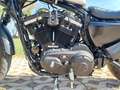 Harley-Davidson Sportster 883 2014 abs Plateado - thumbnail 20