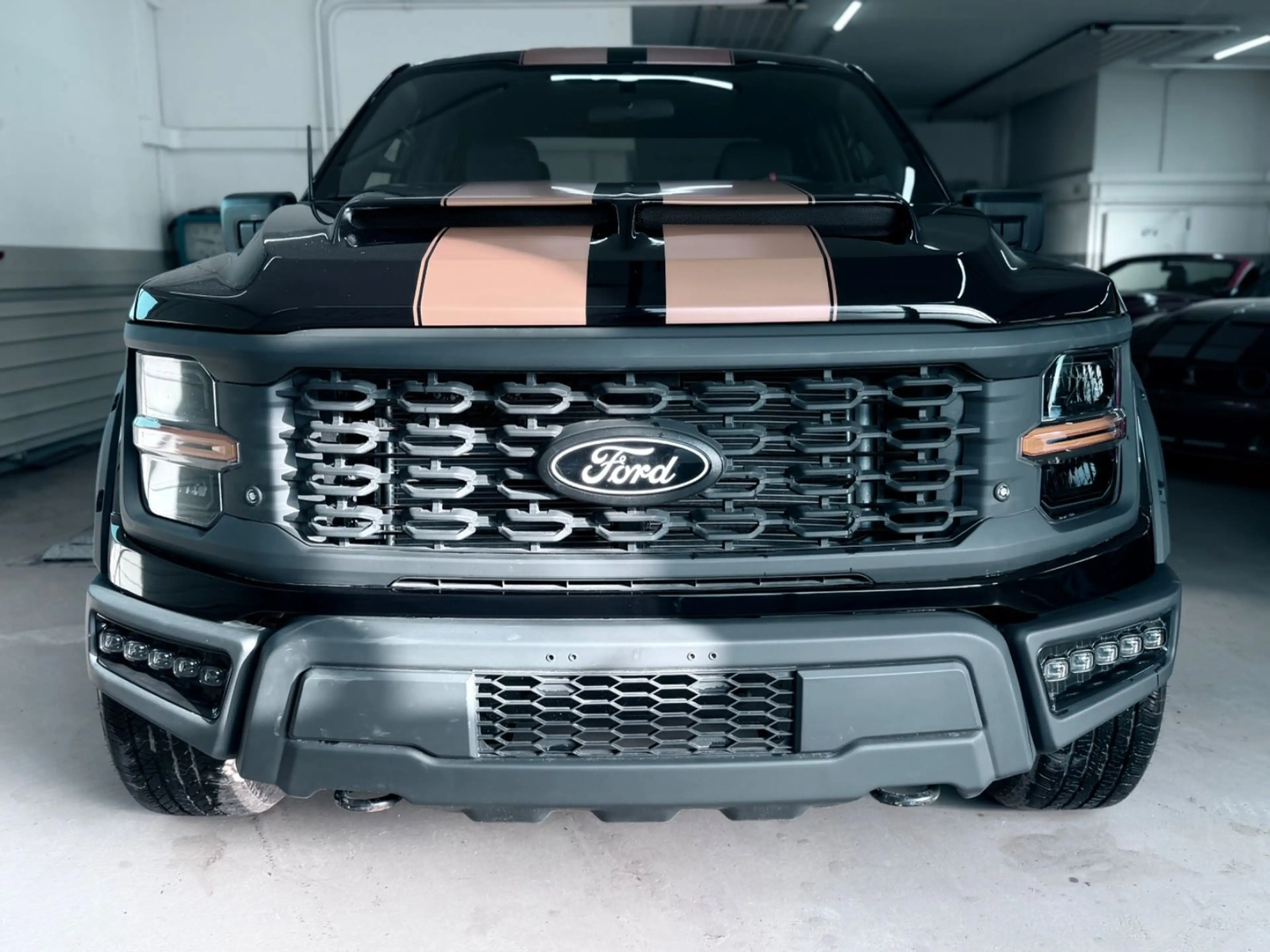 Ford F 150 /5.0/V8/4X4/Facelift — photo 2