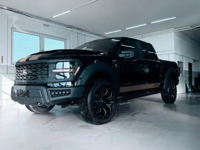Ford F-150 /5.0/V8/4X4/Facelift