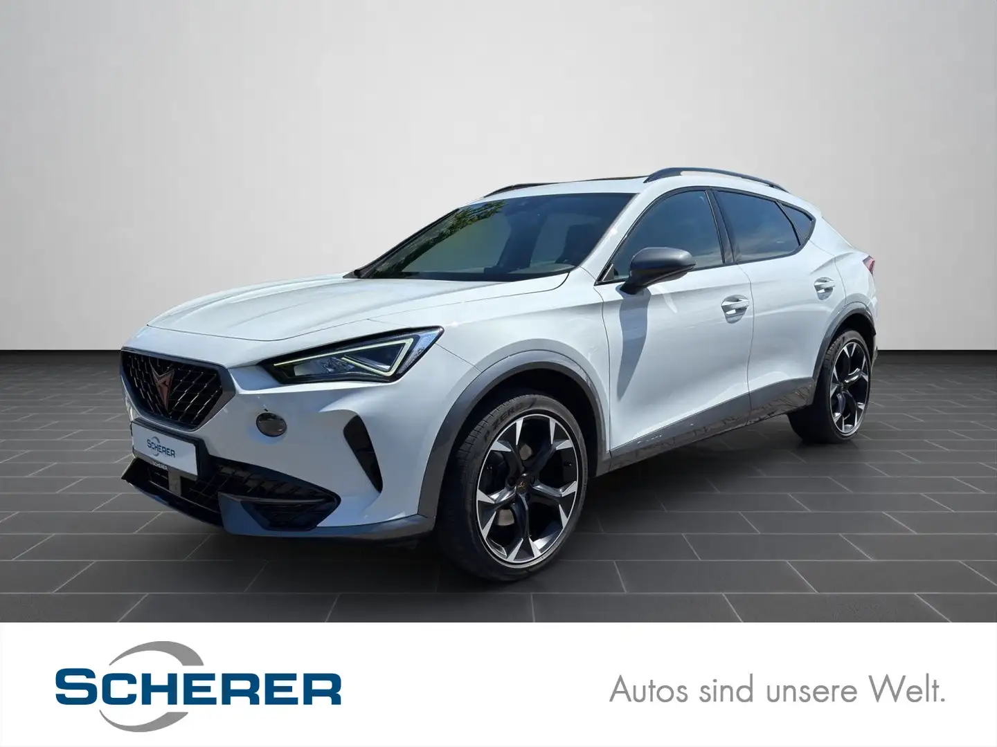 CUPRA Formentor 2.0 TDI 4Drive PANO AHK STANDHZ. Blanc - 1