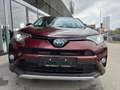 Toyota RAV 4 2,5 4WD HSD Active Navi Rot - thumbnail 4