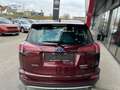 Toyota RAV 4 2,5 4WD HSD Active Navi Rot - thumbnail 5