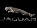 Jaguar F-Pace F-Pace 30d AWD Prestige Weiß - thumbnail 23