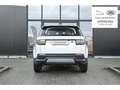 Land Rover Discovery Sport P200 7SEATS 2 YEARS WARRANTY Білий - thumbnail 8
