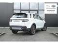 Land Rover Discovery Sport P200 7SEATS 2 YEARS WARRANTY Biały - thumbnail 2