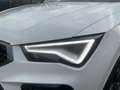 CUPRA Ateca 2.0 TSI VZ DSG 4x4 LED+ACC+DCC+NAV+SHZ+RFK Weiß - thumbnail 16