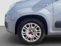 Fiat Panda 1.2 Lounge Gris - thumbnail 20