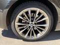 BMW 530 SERIE 530d 3.0D - 24V L6 TURBO XDRIVE Luxury Gris - thumbnail 32