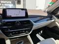 BMW 530 SERIE 530d 3.0D - 24V L6 TURBO XDRIVE Luxury Gris - thumbnail 24