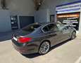 BMW 530 SERIE 530d 3.0D - 24V L6 TURBO XDRIVE Luxury Gris - thumbnail 6