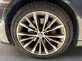 BMW 530 SERIE 530d 3.0D - 24V L6 TURBO XDRIVE Luxury Gris - thumbnail 28