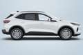 Ford Kuga 1,5 EcoBoost ST-Line ON 42956 JF Weiß - thumbnail 3