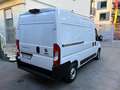 Fiat Ducato 33 2.2 Mjt 140CV PM-TM Furgone 19500€+ IVA Bianco - thumbnail 5