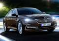 Skoda Superb 2.0 TDI Selection DSG 110kW - thumbnail 50