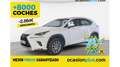 Lexus NX 300 300h Business Navigation 2WD Blanco - thumbnail 1