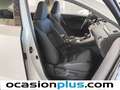 Lexus NX 300 300h Business Navigation 2WD Blanco - thumbnail 19
