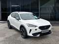 CUPRA Formentor VZ 4Drive 2.0 TSI Panorama BeatsAudio Full Link Weiß - thumbnail 9